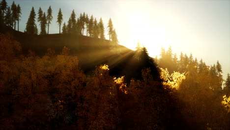 bright-sunset-in-the-mountains-with-forest